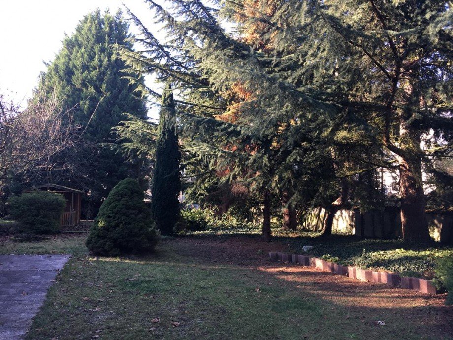 Garten Wohn- / Gesch�ftshaus Germersheim