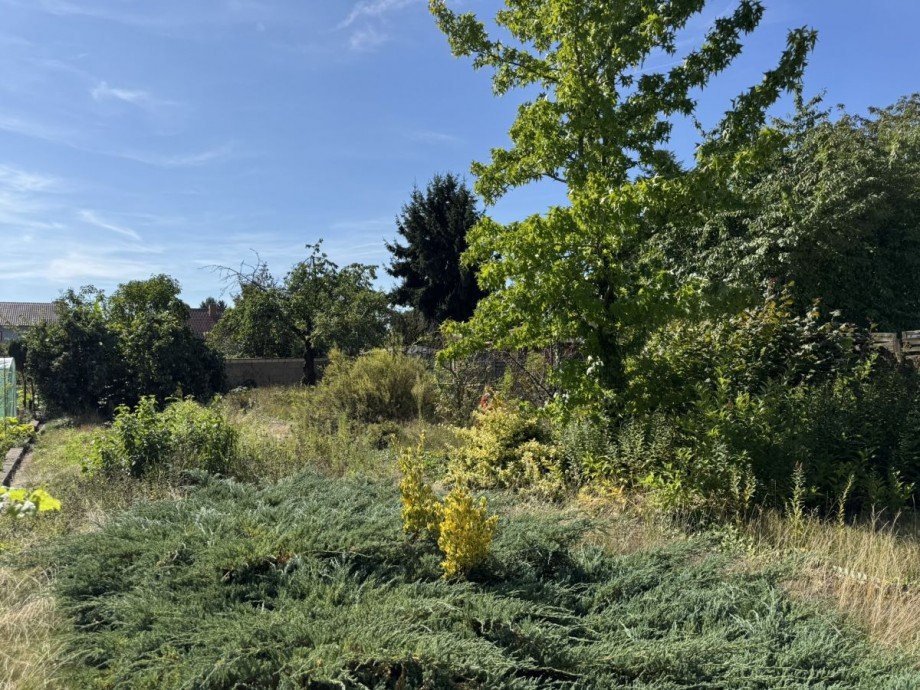 Garten Einfamilienhaus R�lzheim