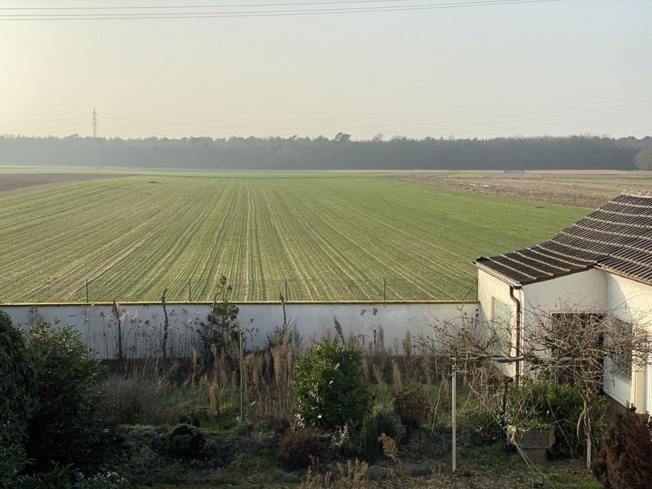 Aussicht nach Westen Einfamilienhaus Germersheim