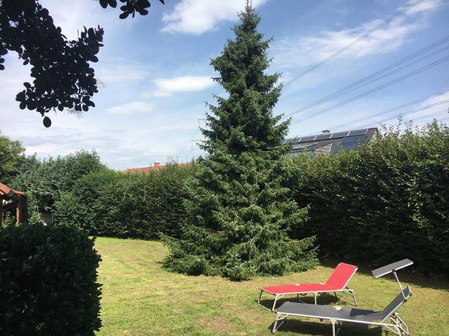 Garten Einfamilienhaus R�lzheim