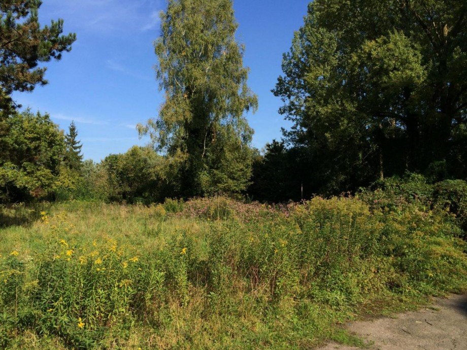 Aussengel�nde Wohngrundst�ck Neuburg