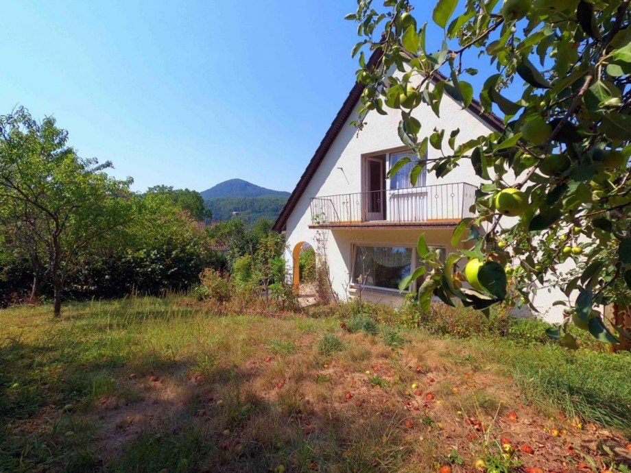 Blick vom Garten 1 Einfamilienhaus Annweiler am Trifels