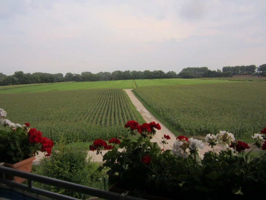 Aussicht Dachgeschosswohnung Kuhardt