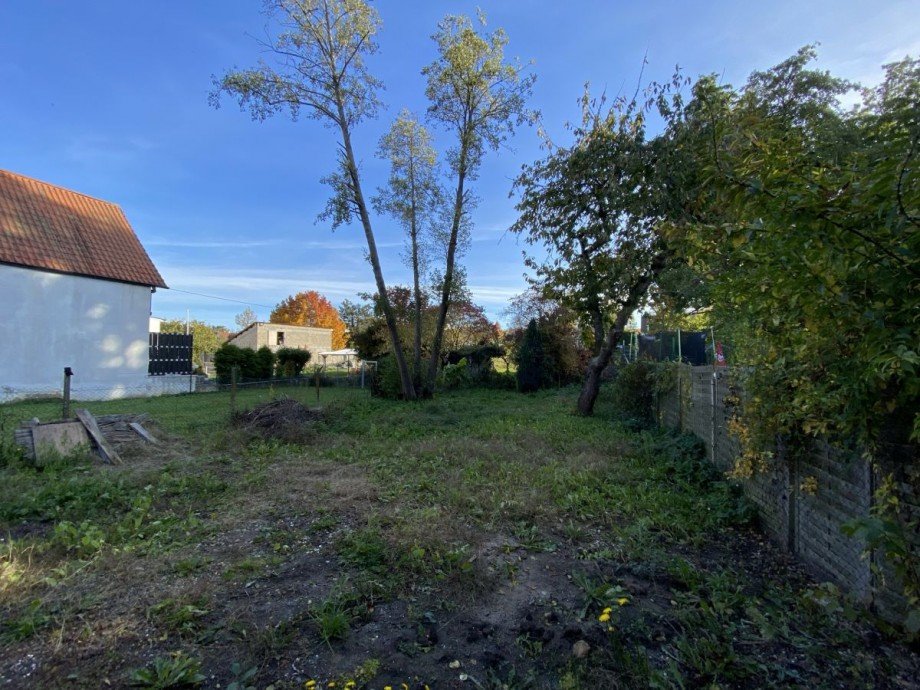 Garten Einfamilienhaus Landau