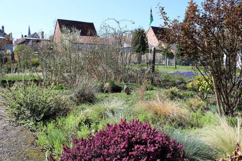 Garten Einfamilienhaus Bellheim