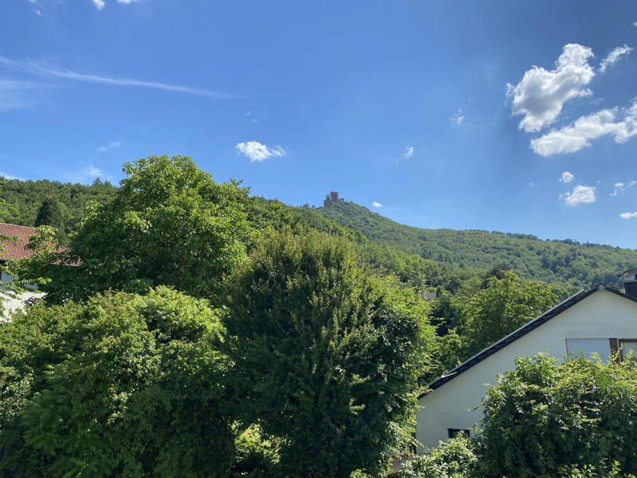 Aussicht Einfamilienhaus Annweiler